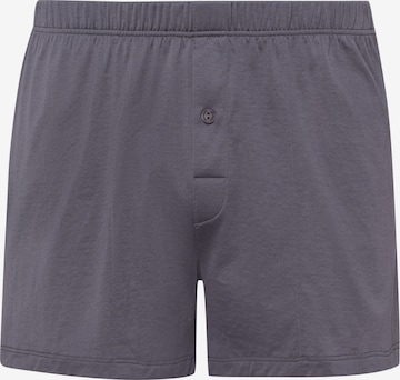 Hanro Boxer shorts in Grey: front