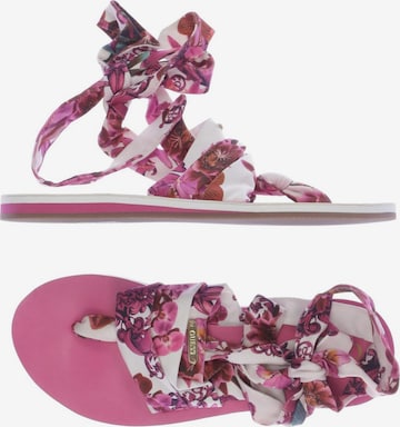 GUESS Sandals & High-Heeled Sandals in 36 in Pink: front