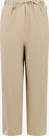 PROTEST Trousers 'PRTOlympic' in Brown: front