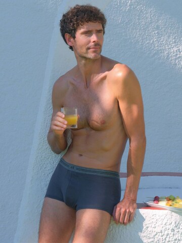 zd ZERO DEFECTS Boxershorts 'Athens Trunk' in Grau