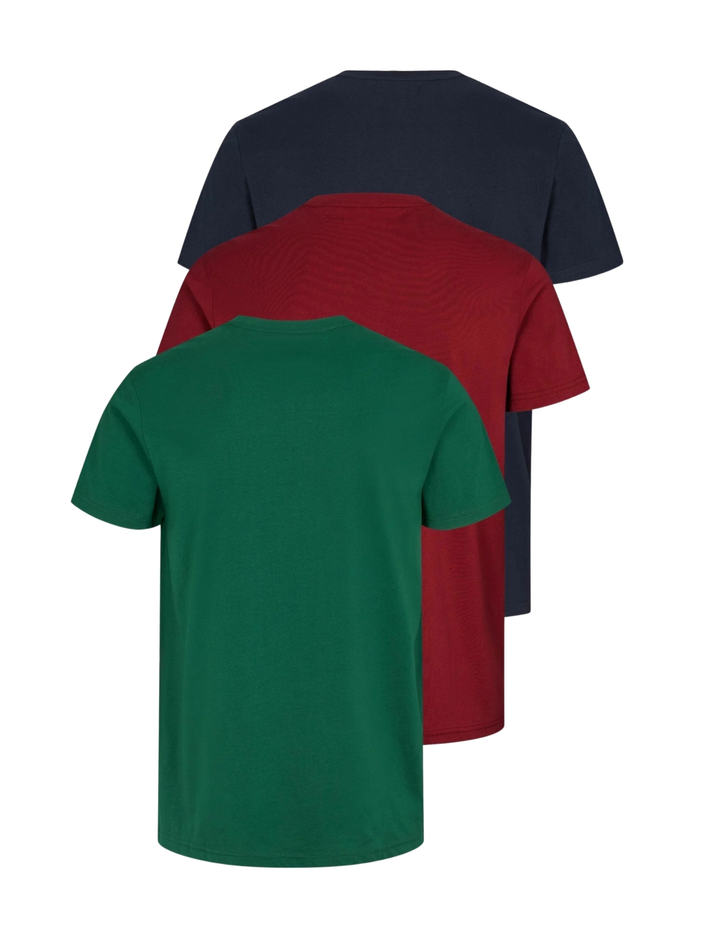 U.S. POLO ASSN. Regular fit Overhemd 'Arjun' in Groen