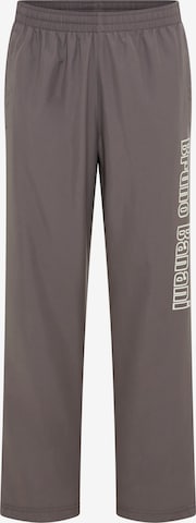 Bruno Banani Regular Pants in Grey: front