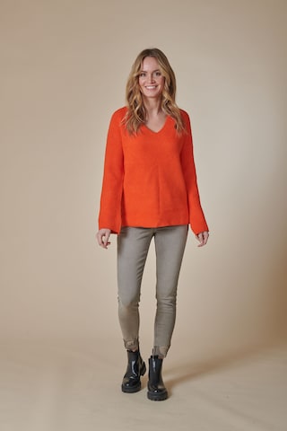 Zhrill Pullover in Orange