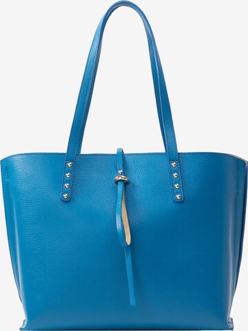 Usha Shopper in Blue: front