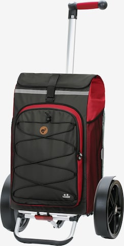 Cabas 'Tura' Andersen Shopper en gris : devant