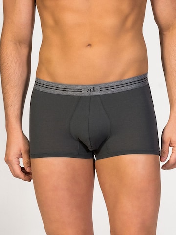 zd ZERO DEFECTS Boxer shorts 'Athens Trunk' in Grey: front