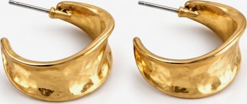 Kamakula Earrings 'Sculptural Chunky' in Gold: front