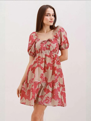 Bigdart Dress in Pink