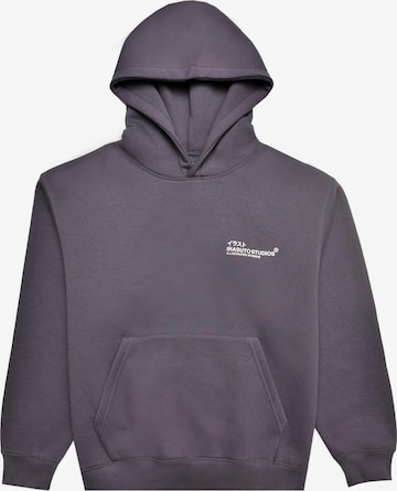 Felpa 'Crane' di Irasuto Studios in grigio: frontale