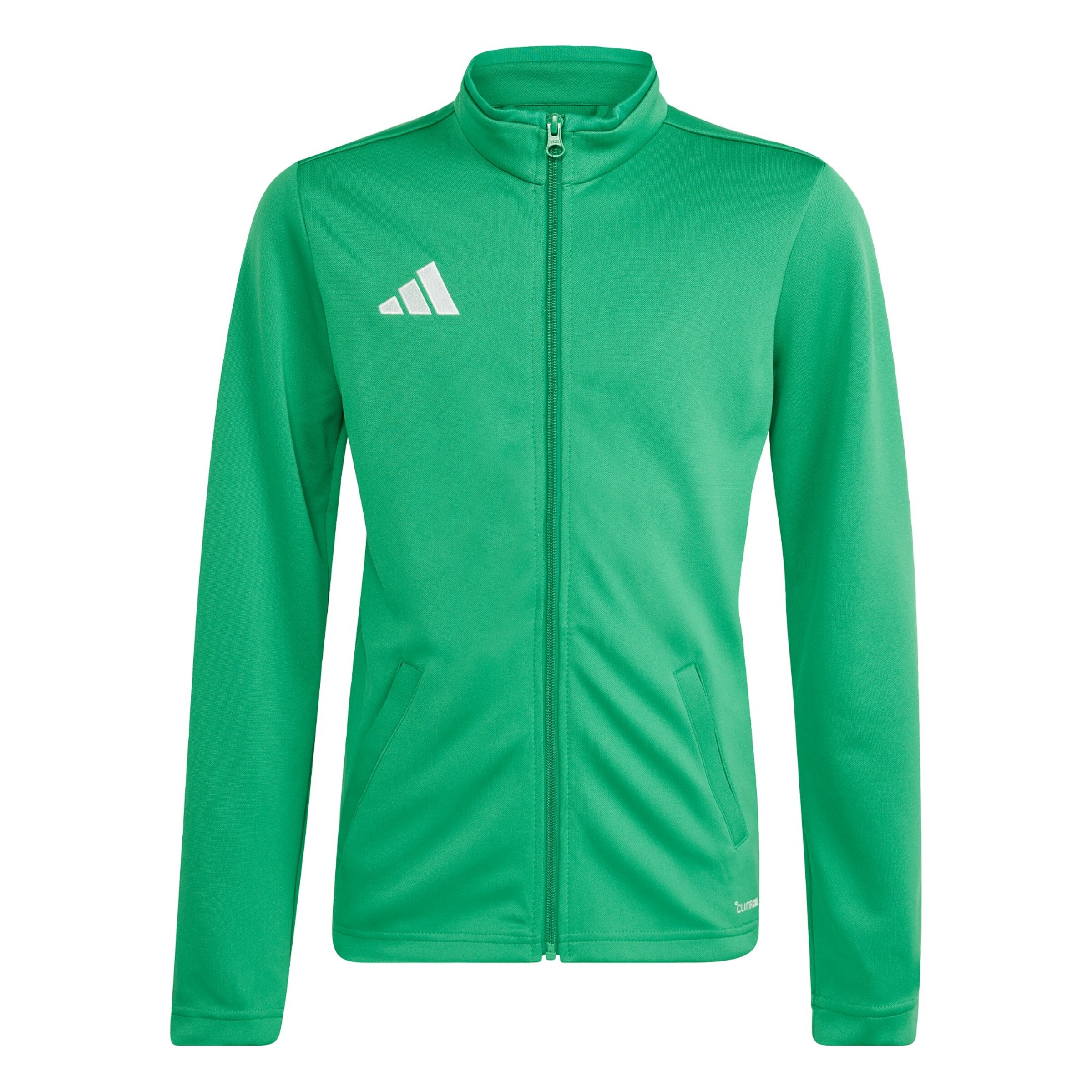 Giacca di felpa sportiva 'Entrada26' di ADIDAS PERFORMANCE in verde: frontale