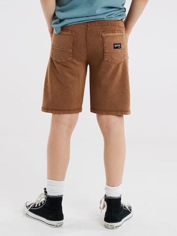 PROTEST Loose fit Pants 'ORLIN JR' in Brown
