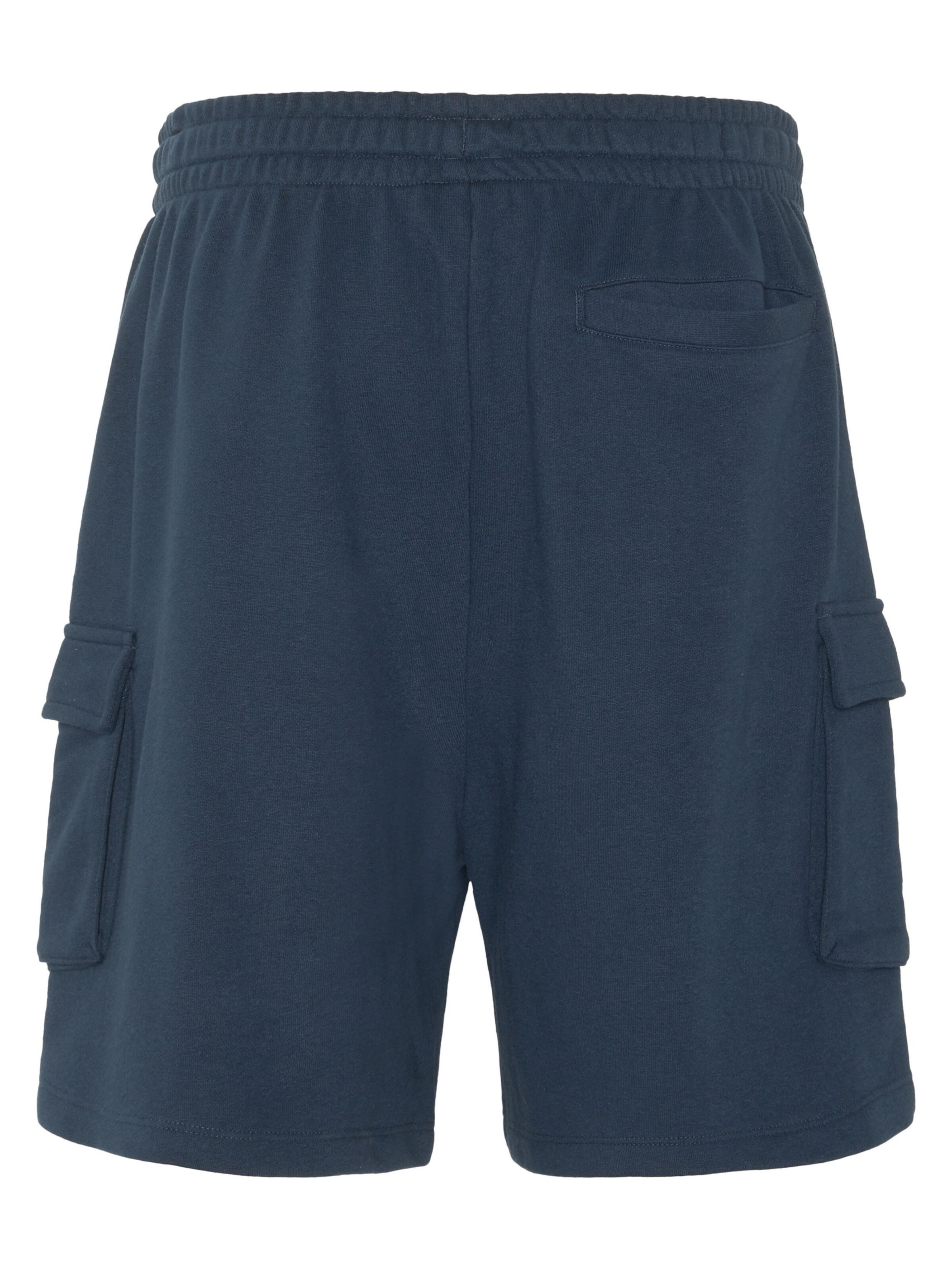 CHIEMSEE Regular Pants in Blue