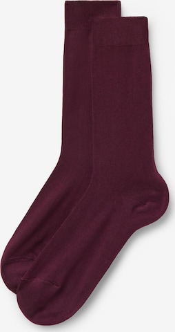 CALZEDONIA Socken in Lila: Vorderseite