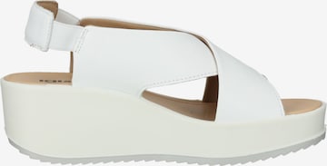 IGI&CO Sandals in White