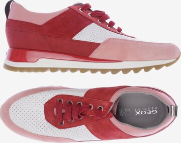 GEOX Sneaker 41 in Pink: predná strana