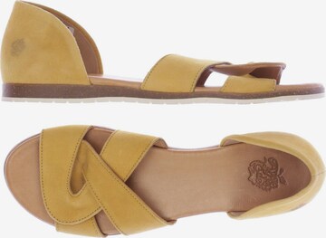 Apple of Eden Sandals & High-Heeled Sandals in 39 in Orange: front