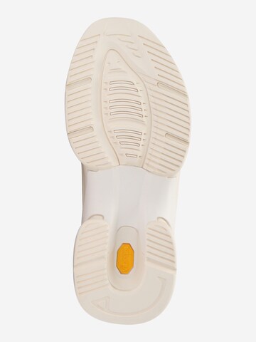 Polo Ralph Lauren - Zapatillas deportivas bajas en beige