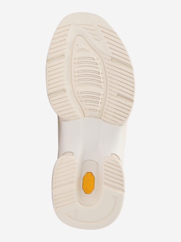 Polo Ralph Lauren - Zapatillas deportivas bajas en beige
