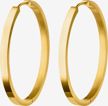 Steelwear Earrings 'Barcelona' in Gold: front