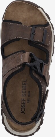 JOSEF SEIBEL Sandals 'Janosch' in Brown