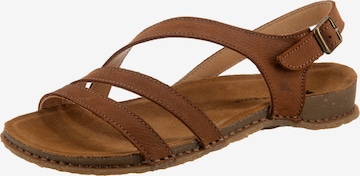 Sandales à lanières 'Panglao' EL NATURALISTA en marron : devant