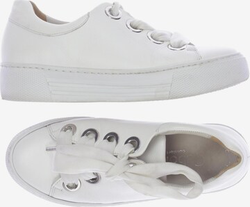 GABOR Sneakers & Trainers in 35 in White: front