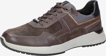 SIOUX Sneakers laag 'Lachlan' in Bruin: voorkant