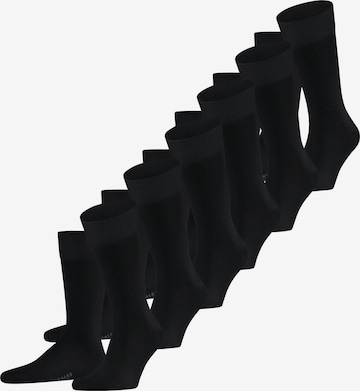 FALKE Socken 'Happy 6-Pack' in Schwarz: Vorderseite