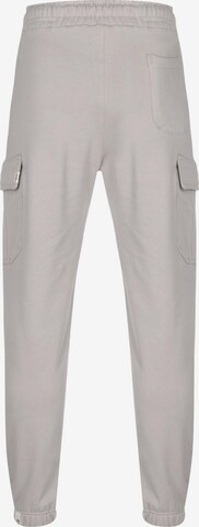 ALPHA INDUSTRIES Tapered Cargo Pants 'Organics' in Grey