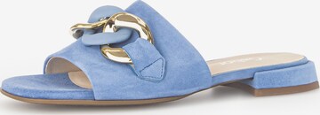 GABOR Mules in Blue: front