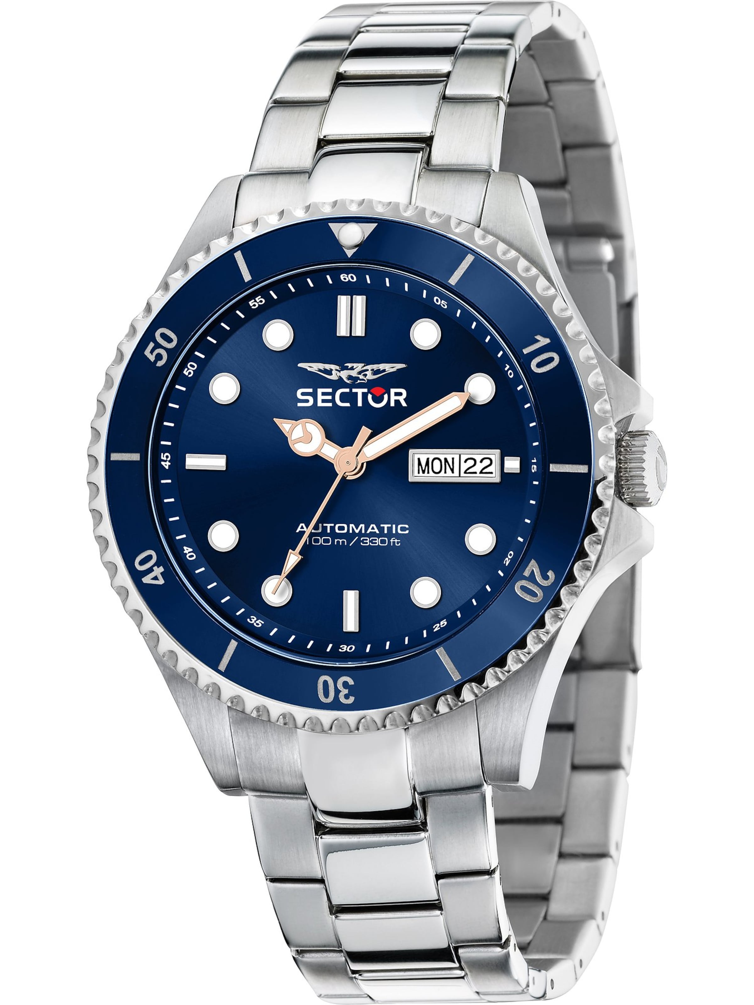 SECTOR Analog Watch in Silver: front