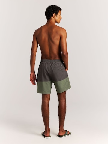 PROTEST Board Shorts 'PRTCabus' in Green