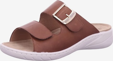 SOLIDUS Mules in Brown: front