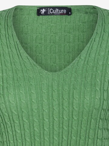 DENIM CULTURE Pulover 'Verla' | zelena barva