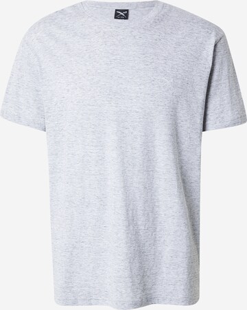 Iriedaily Μπλουζάκι 'Chamisso' σε γκρι: μπροστά