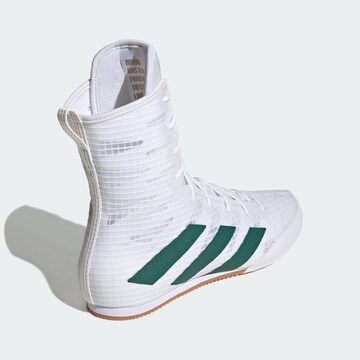 ADIDAS PERFORMANCE Sports shoe 'Box Hog 4' in White