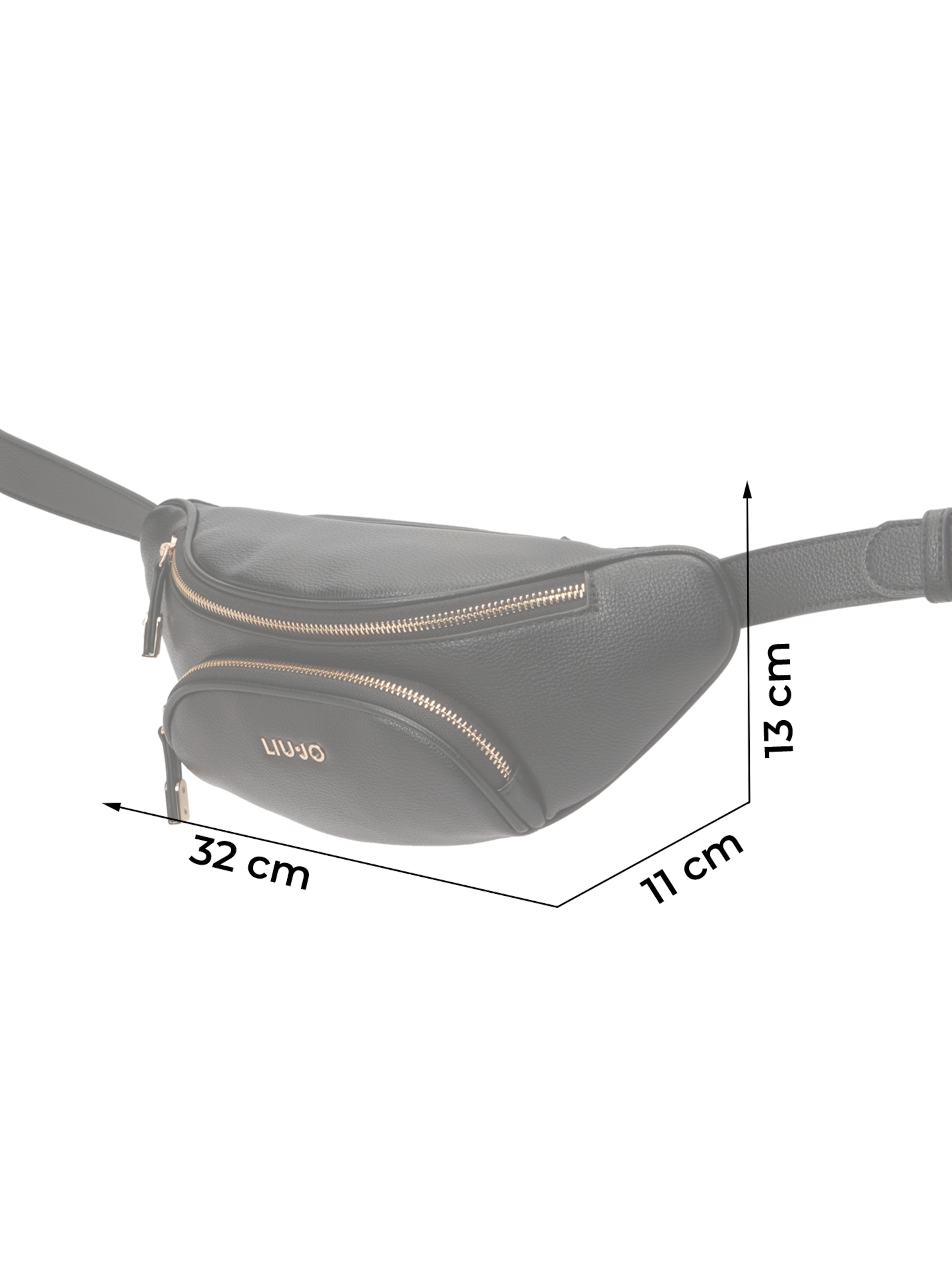 Liu Jo Heuptas 'ECS M' in Zwart