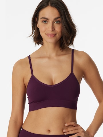 SCHIESSER Bralette Bra ' Seamless Matt ' in Purple: front