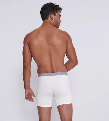 SLOGGI Boxer shorts 'GO ABC 2.0' in White