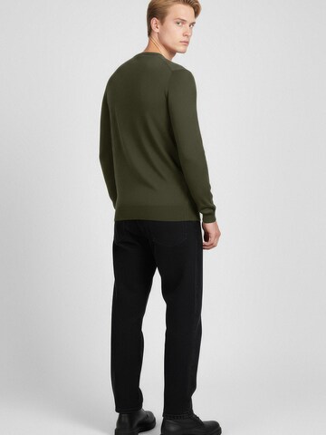 Karl Lagerfeld Pullover in Grün