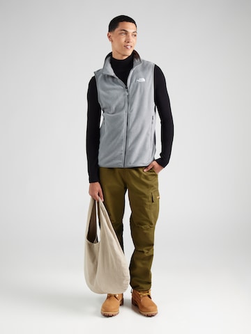 Gilet de sport 'GLACIER' THE NORTH FACE en gris