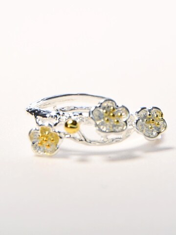 ARS-ARGENTI Ring '#017 PURE ROMANCE' in Silver: front