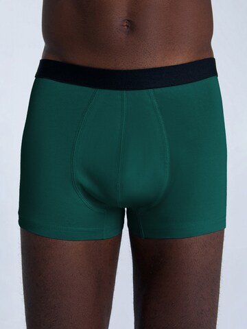 Albero Natur Boxer shorts 'Herren Trunkshorts aus Bio-Baumwolle' in Green: front