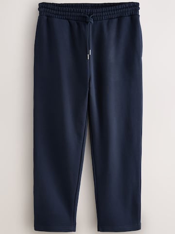Next Regular Pants in Blue