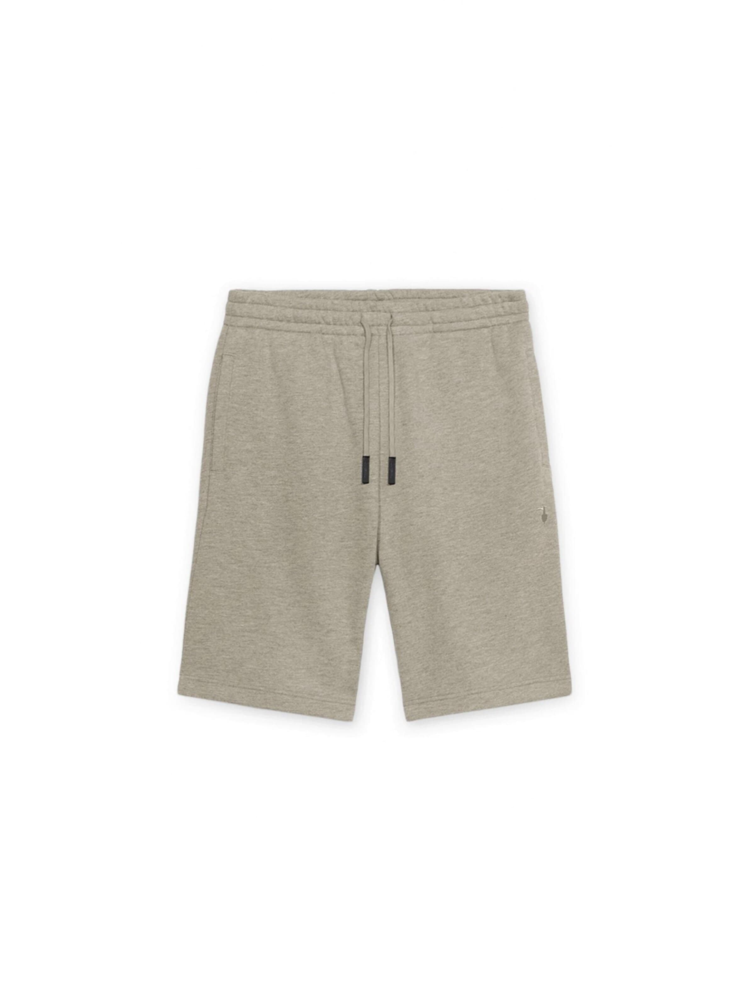 regular Pantaloni di Trussardi in grigio: frontale