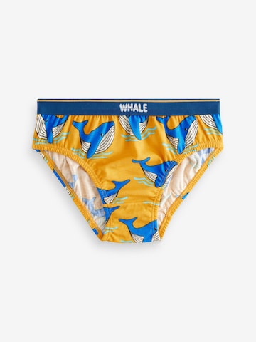 Next Underpants in Mixed colors