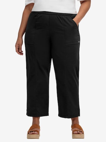 SHEEGO Wide leg Pleat-Front Pants in Black: front