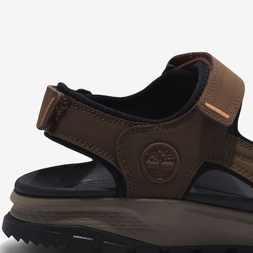 TIMBERLAND Sandals in Brown