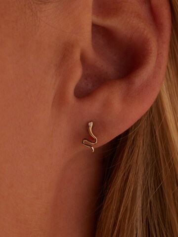 Lucardi Oorbellen in Goud: voorkant