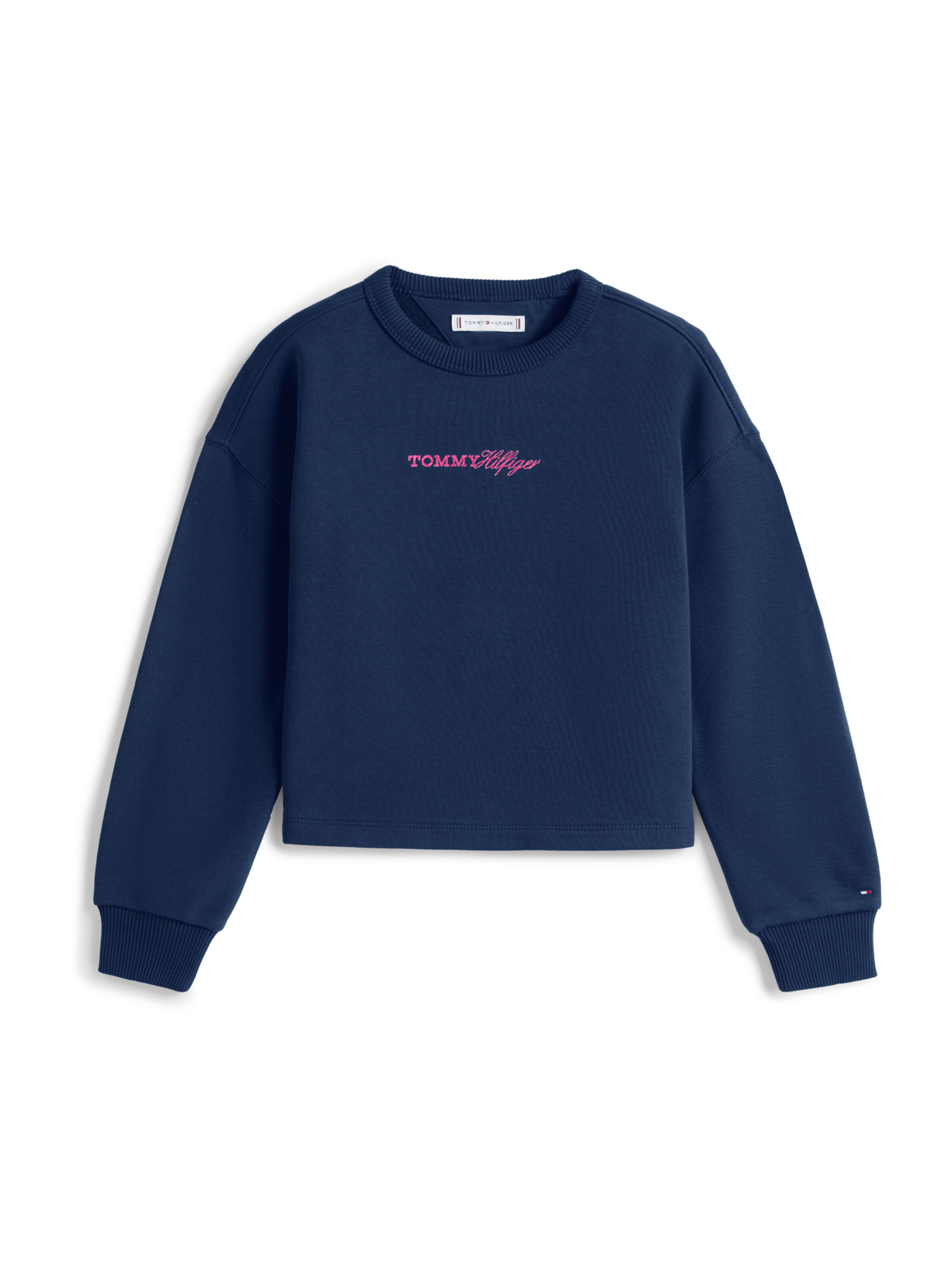 TOMMY HILFIGER - Sweatshirt em azul: frente